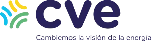 CVE Logo di CVE